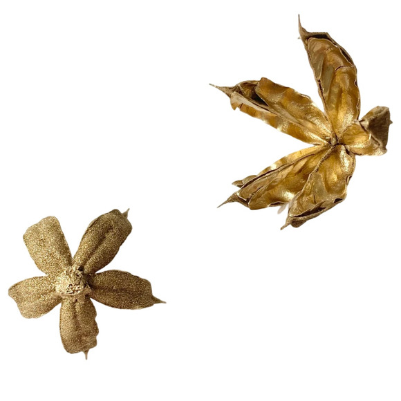 Dried Gold flowers | homegrown and handmade preserved Hibiscus seed pods - Picture 8 of 8